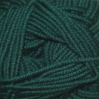 Cascade Elysian DK Yarn color 35 Everglade