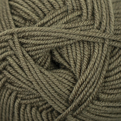 Cascade Elysian DK Yarn color 57 Elmwood