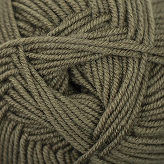 Cascade Elysian DK Yarn color 57 Elmwood