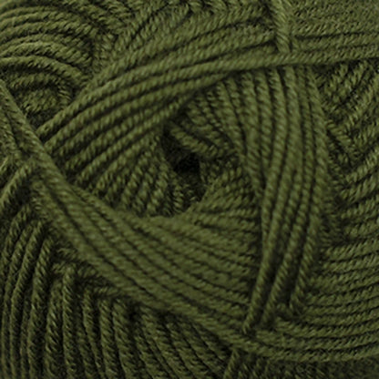 Cascade Elysian DK Yarn color 58 Cedar Green
