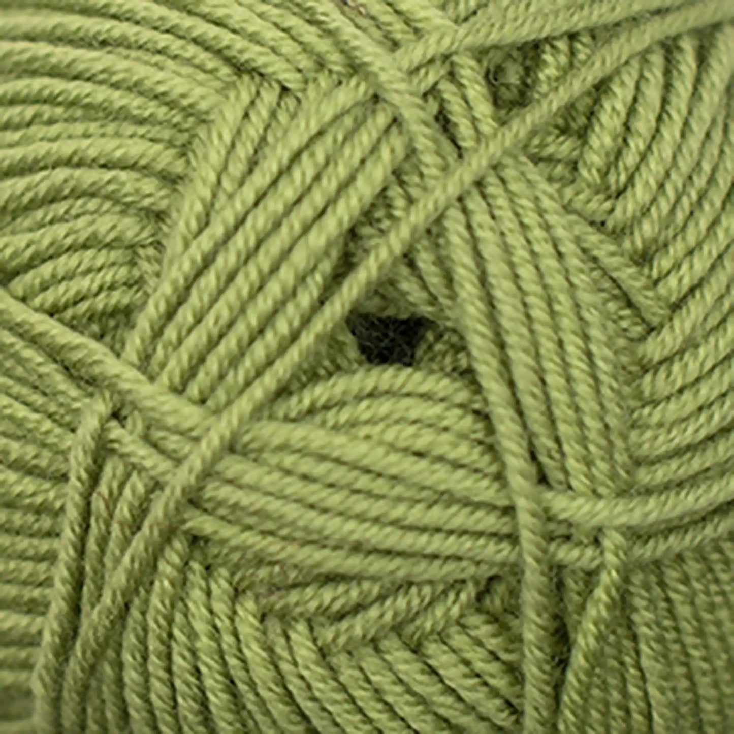 Cascade Elysian DK Yarn color 59 Sweet Pea