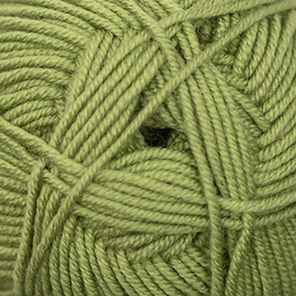 Cascade Elysian DK Yarn color 59 Sweet Pea