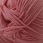 60 Salmon Rose