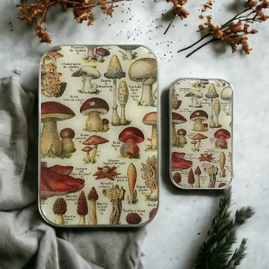 Firefly Notes | Mushroom Notions Tins - Paradise Fibers