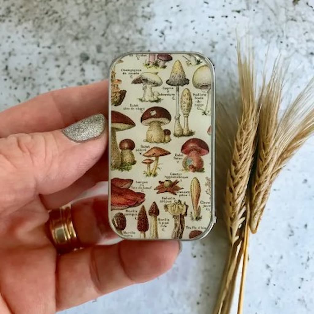 Firefly Notes | Mushroom Notions Tins - Paradise Fibers