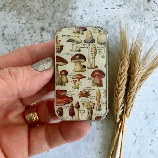 Firefly Notes | Mushroom Notions Tins - Paradise Fibers
