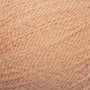 4120 Cantaloupe