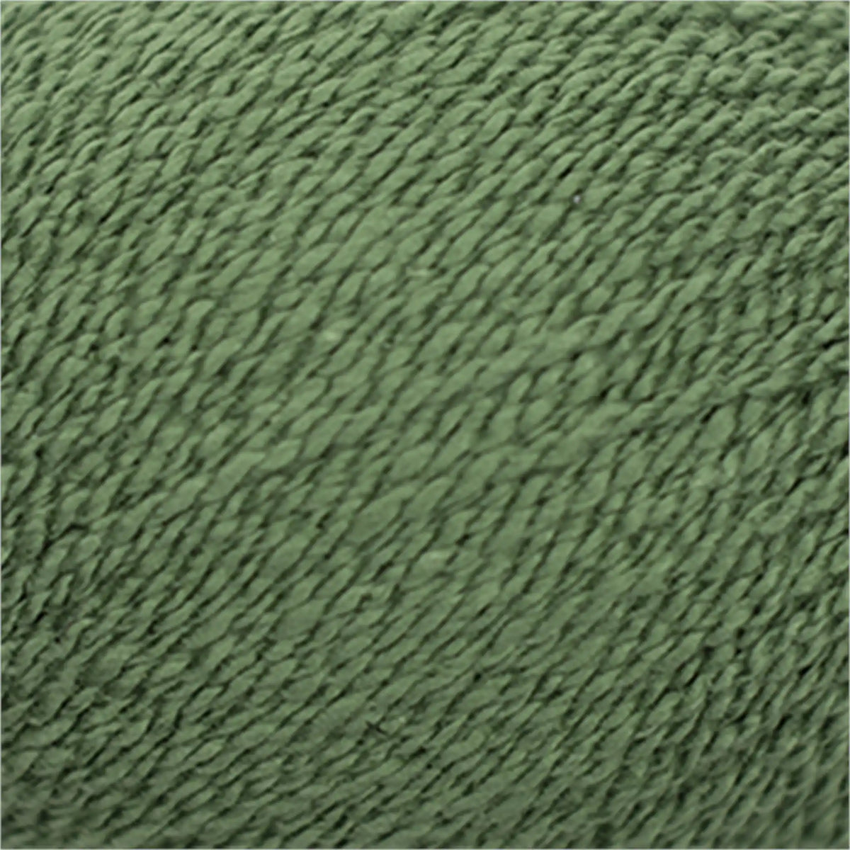 Cascade Fixation Yarn DK color 5321 Watercress