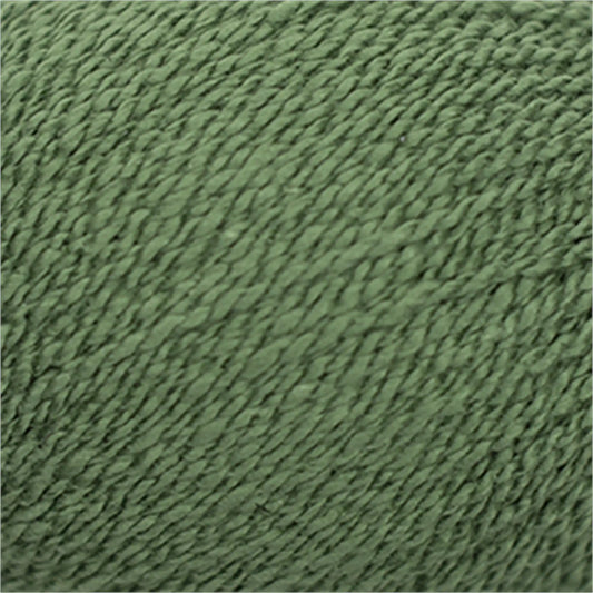 Cascade Fixation Yarn DK color 5321 Watercress