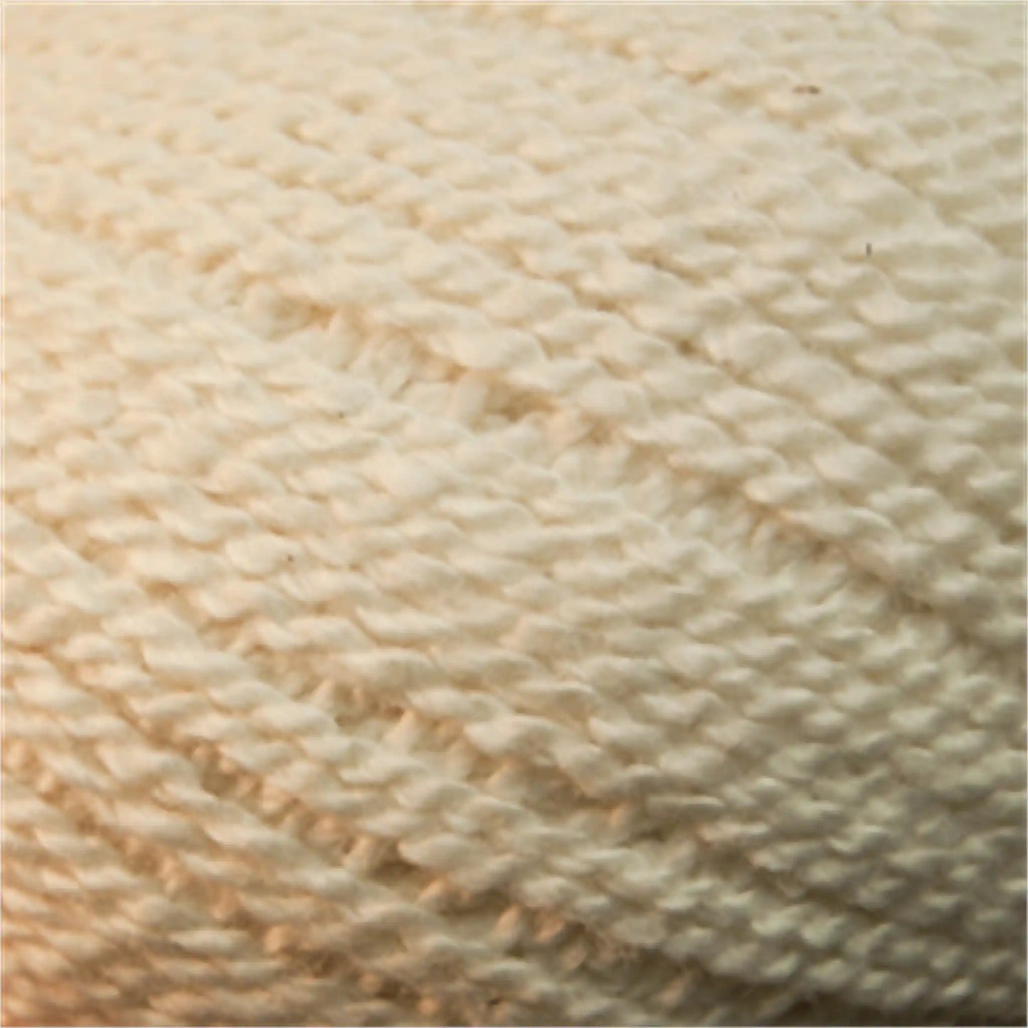 Cascade Fixation Yarn DK color 8176 Ecru