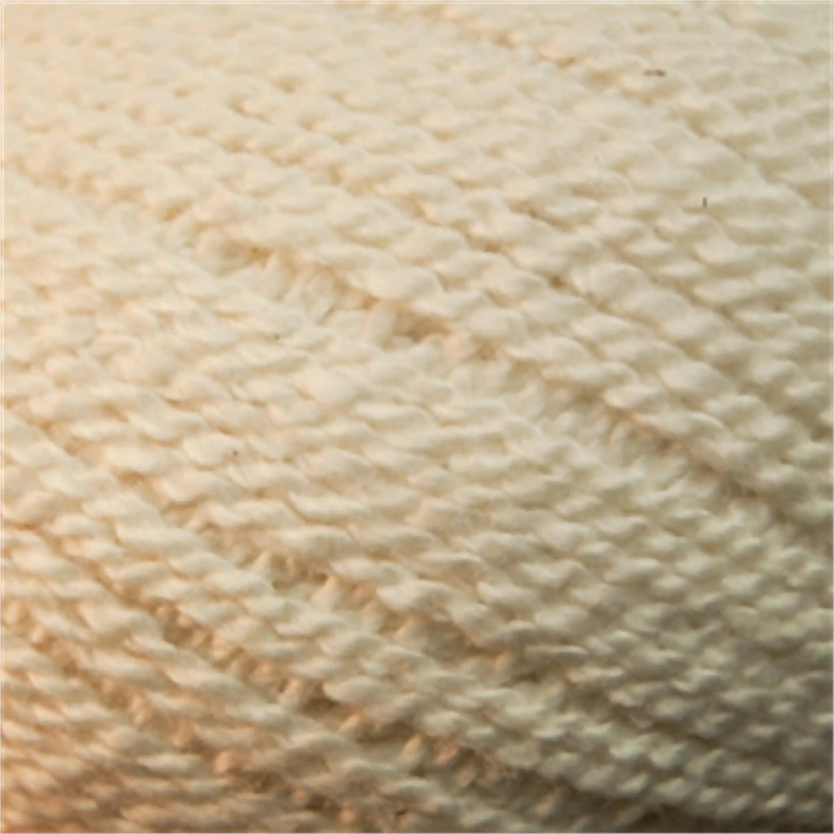 Cascade Fixation Yarn DK color 8176 Ecru