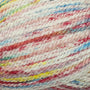 101 Primary - Splash