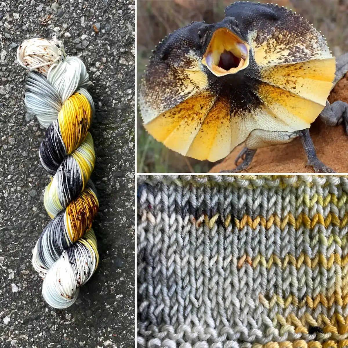 Frilled Lizard - Superwash Merino Spruce Fingering Yarn