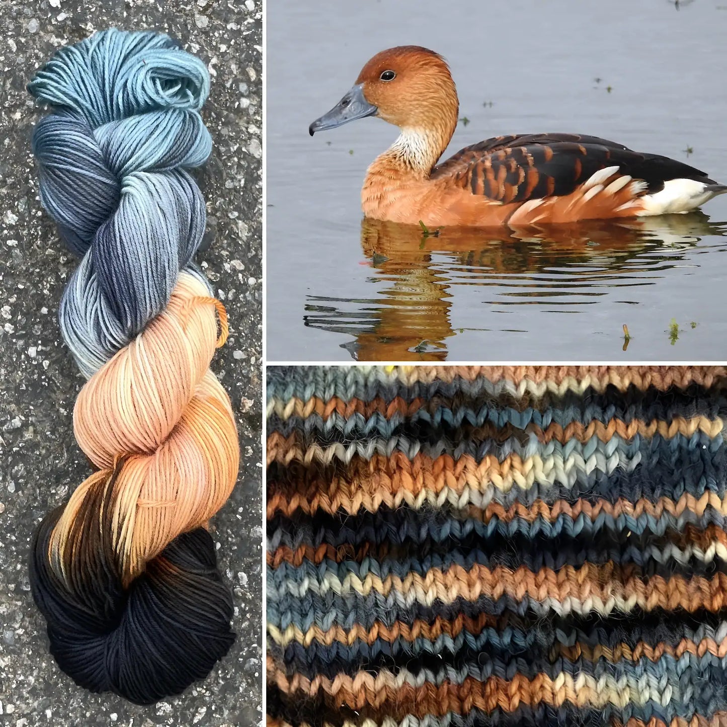 Fulvous Whistling Duck - Merino/Nylon Alder Fingering Yarn - Round Mountain Fibers