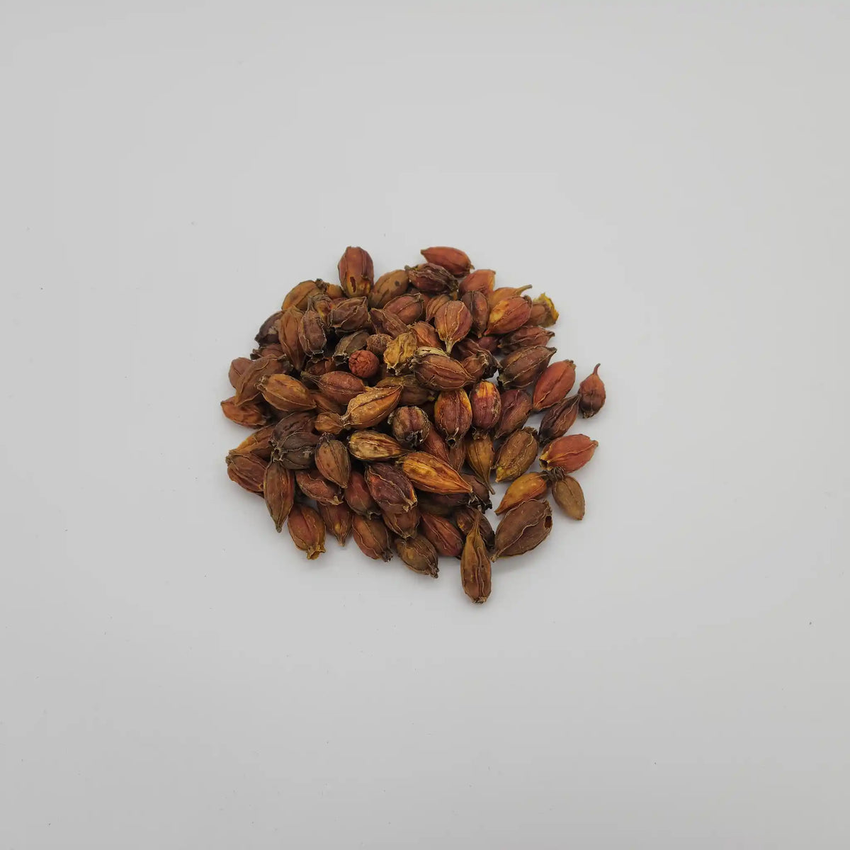 A small heap of dried gardenia pods (cape jasmine fruit) on a white background