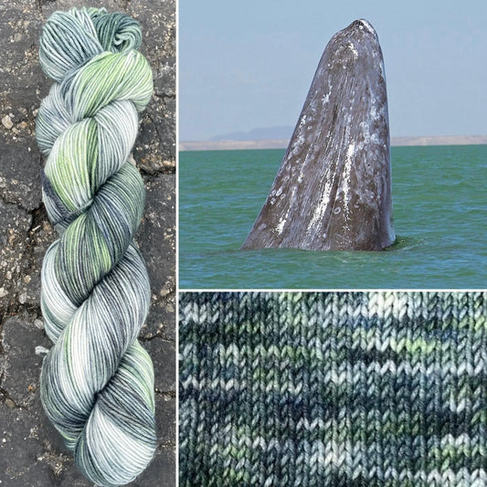 Gray Whale colorway skein, Round Mountain Fibers Alder Fingering yarn
