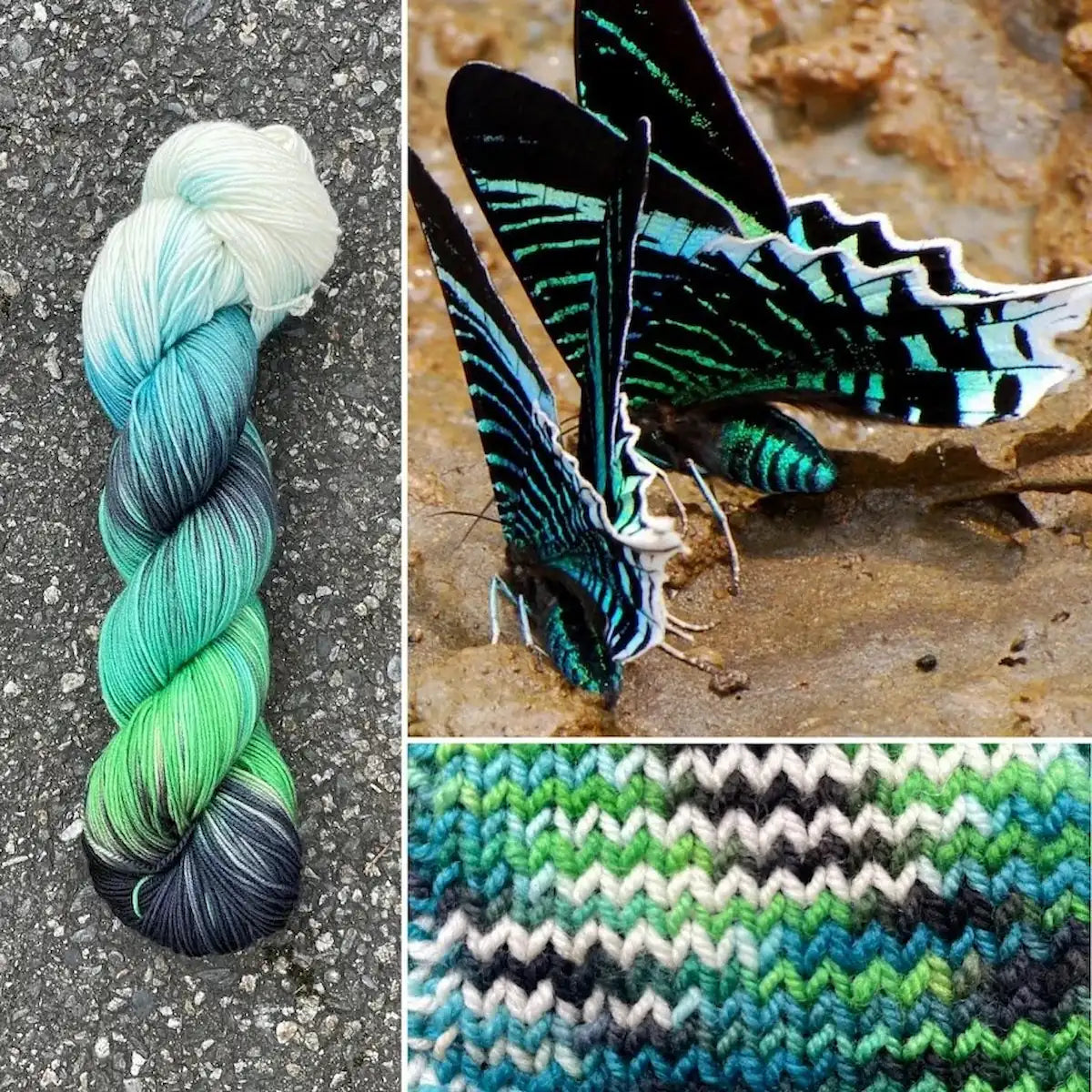 Green Banded Urania Moth - Superwash Merino Spruce Fingering Yarn