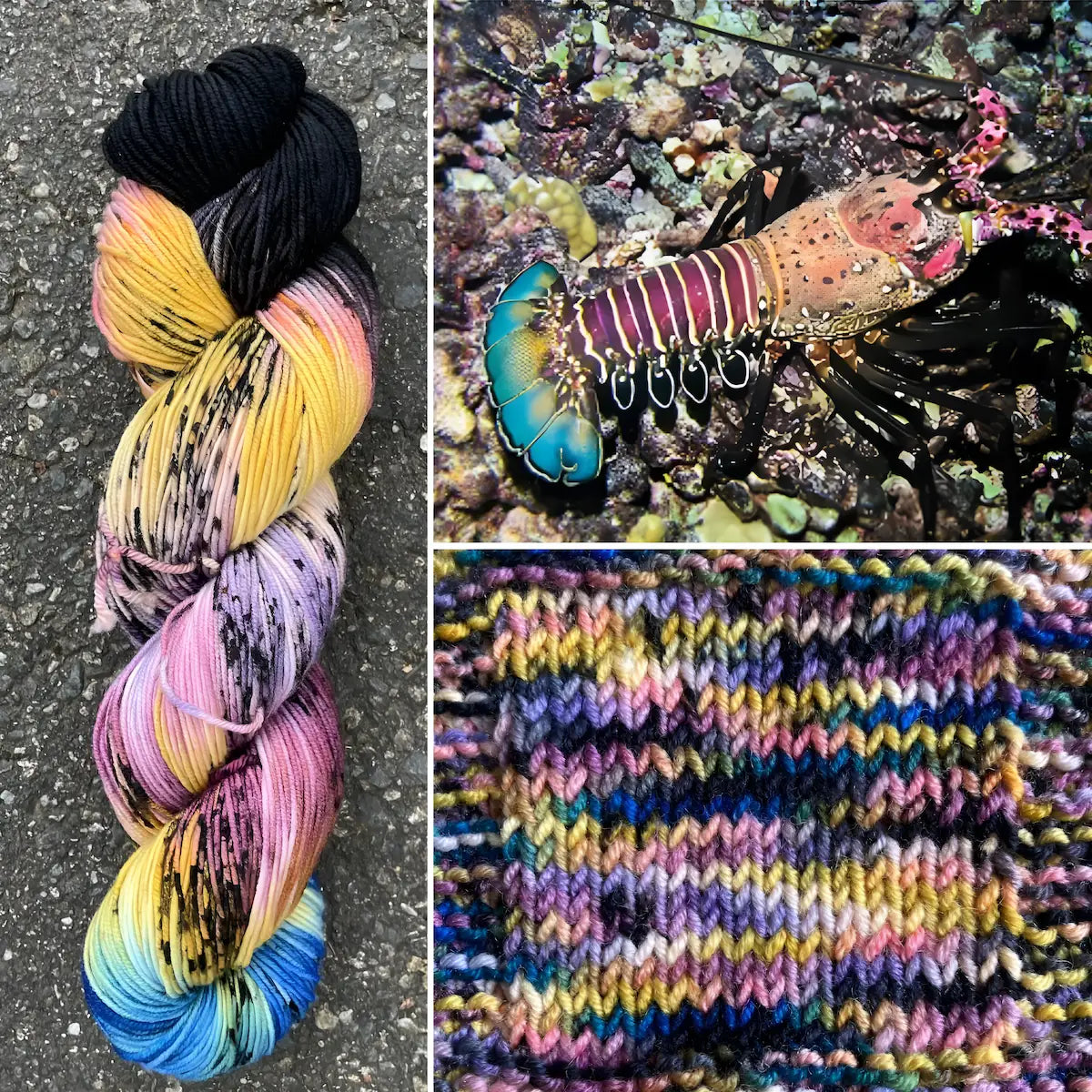 Hawaiian Spiny Lobster - Superwash Merino Spruce Fingering Yarn