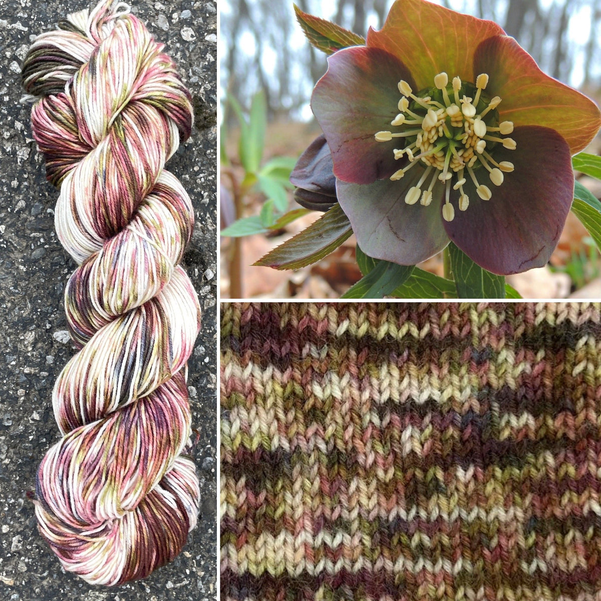 Helleborus colorway skein, Round Mountain Fibers Alder Fingering yarn