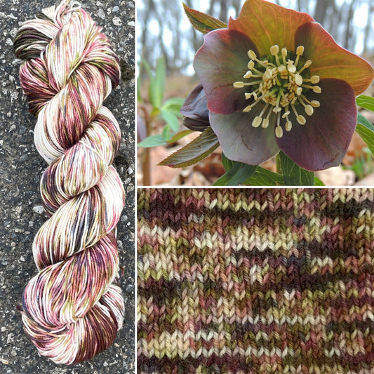 Helleborus colorway skein, Round Mountain Fibers Alder Fingering yarn