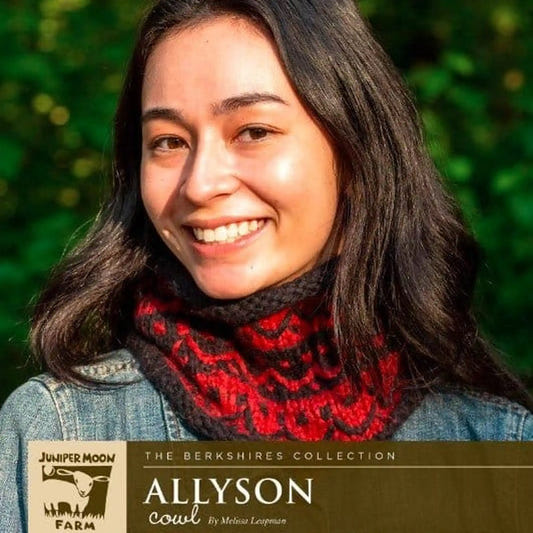 Juniper Moon Allyson Cowl Pattern - Paradise Fibers