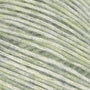 15 Pistachio