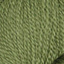 2062 Asparagus
