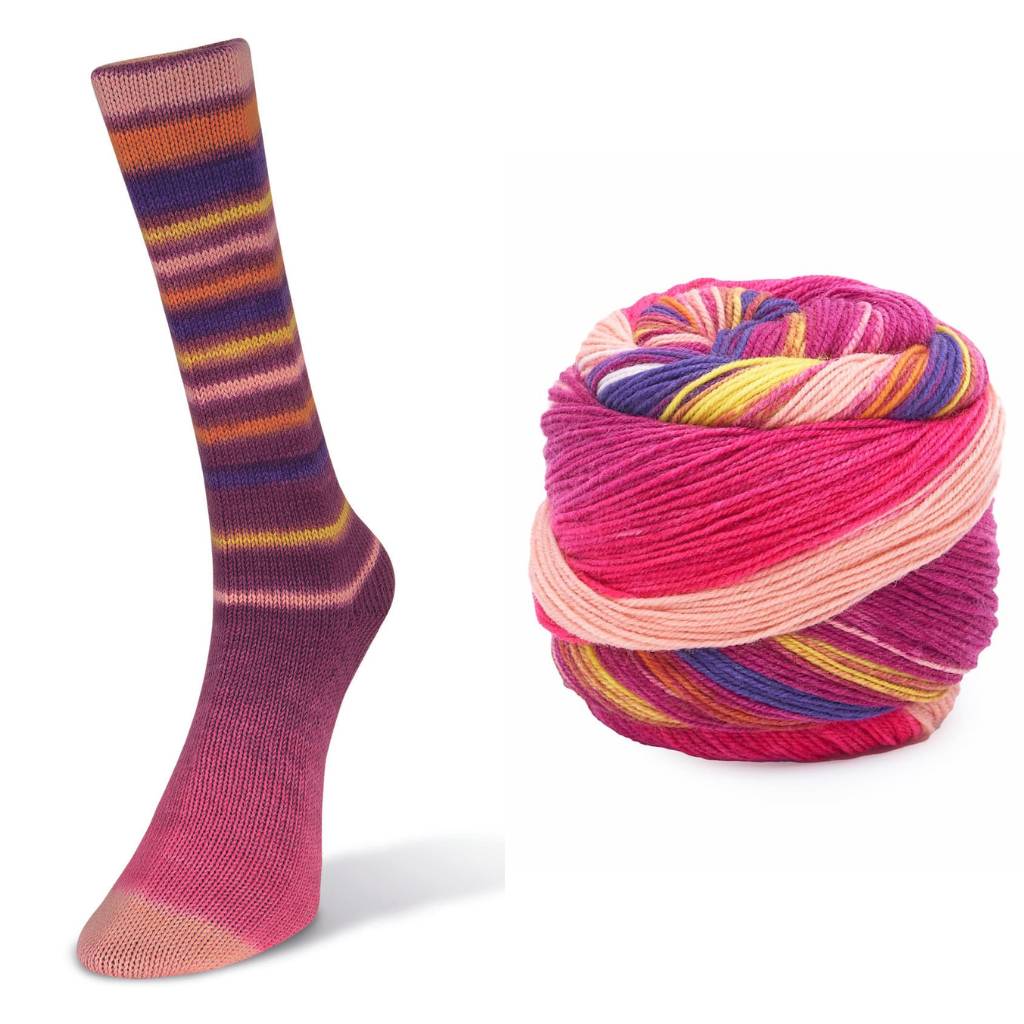 LAINES DU NORD Infinity Sock - Paradise Fibers