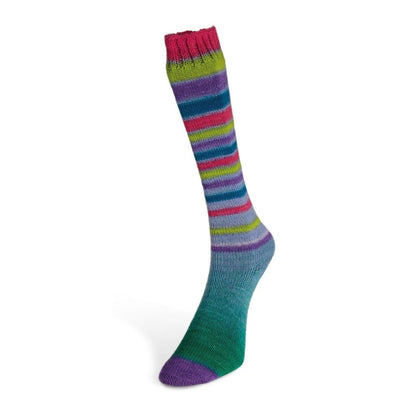 LAINES DU NORD Infinity Sock - Paradise Fibers