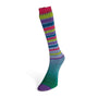 19 Green-Blue-Purple-Green-Red