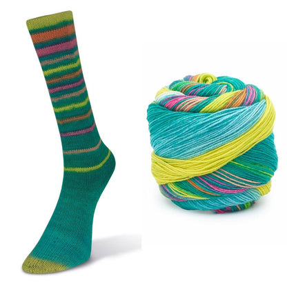 LAINES DU NORD Infinity Sock - Paradise Fibers