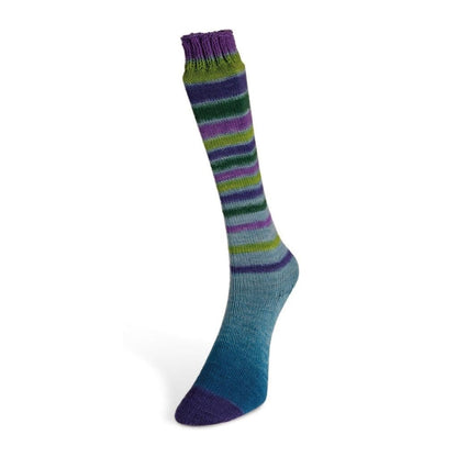 LAINES DU NORD Infinity Sock - Paradise Fibers