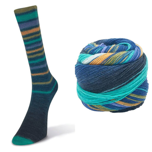 LAINES DU NORD Infinity Sock - Paradise Fibers