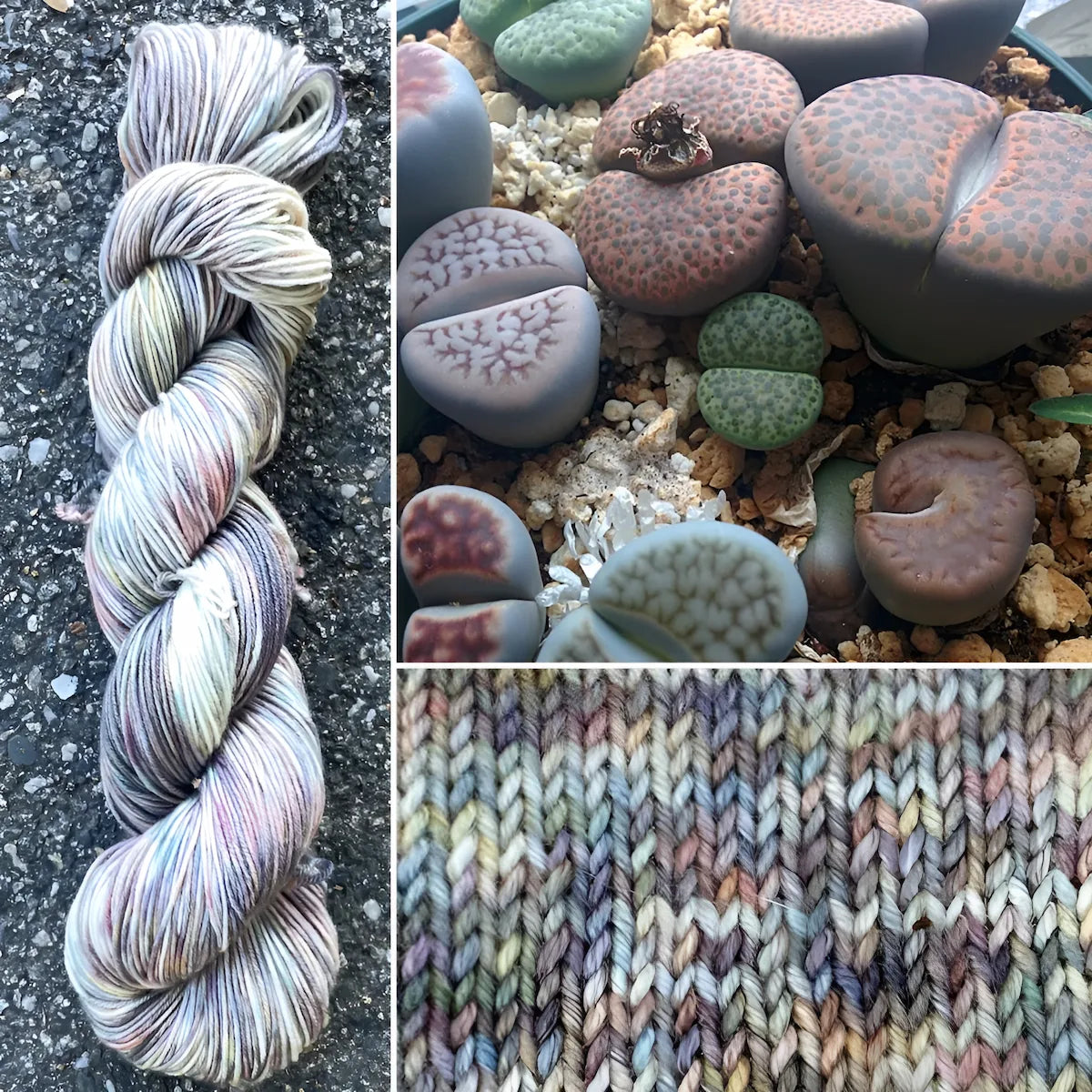 Living Stone Lithop - Merino/Nylon Alder Fingering Yarn