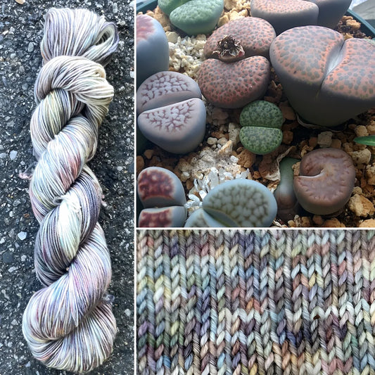 Living Stone Lithop - Merino/Nylon Alder Fingering Yarn
