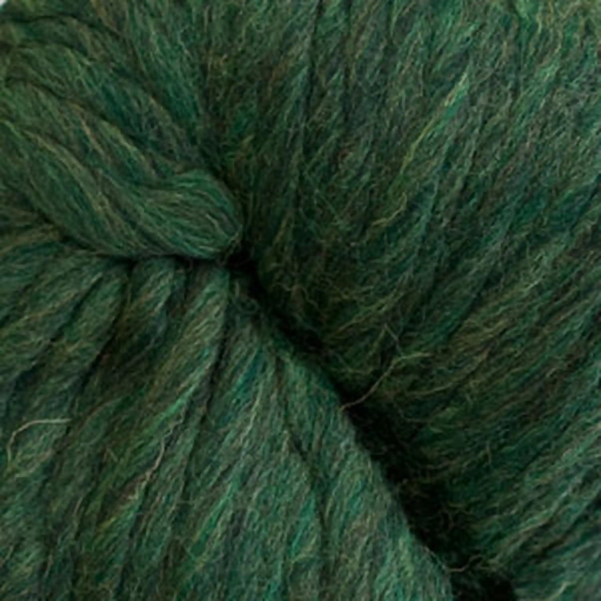 Cascade Magnum Super Bulky Yarn color 2445 Shire