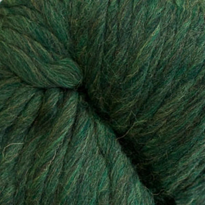 Cascade Magnum Super Bulky Yarn color 2445 Shire