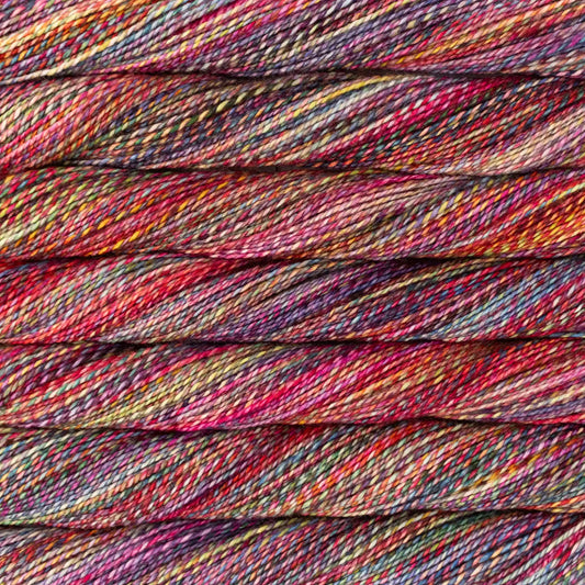 Malabrigo Torzal Light Dk Yarn color Aniversario