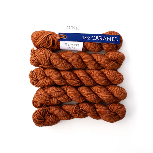 Malabrigo Ultimate Sock Minis Fingering Yarn