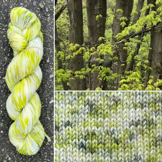 Maples In The Spring - Merino/Nylon Alder Fingering Yarn - Round Mountain Fibers