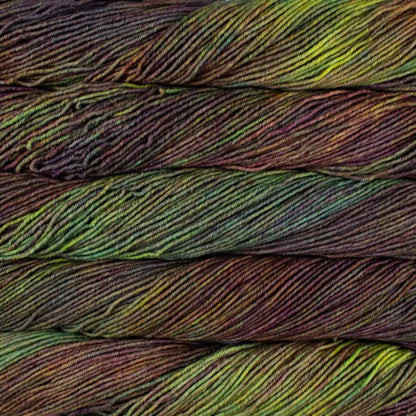 Malabrigo Seis Cabos DK Yarn color 866 Arco Iris