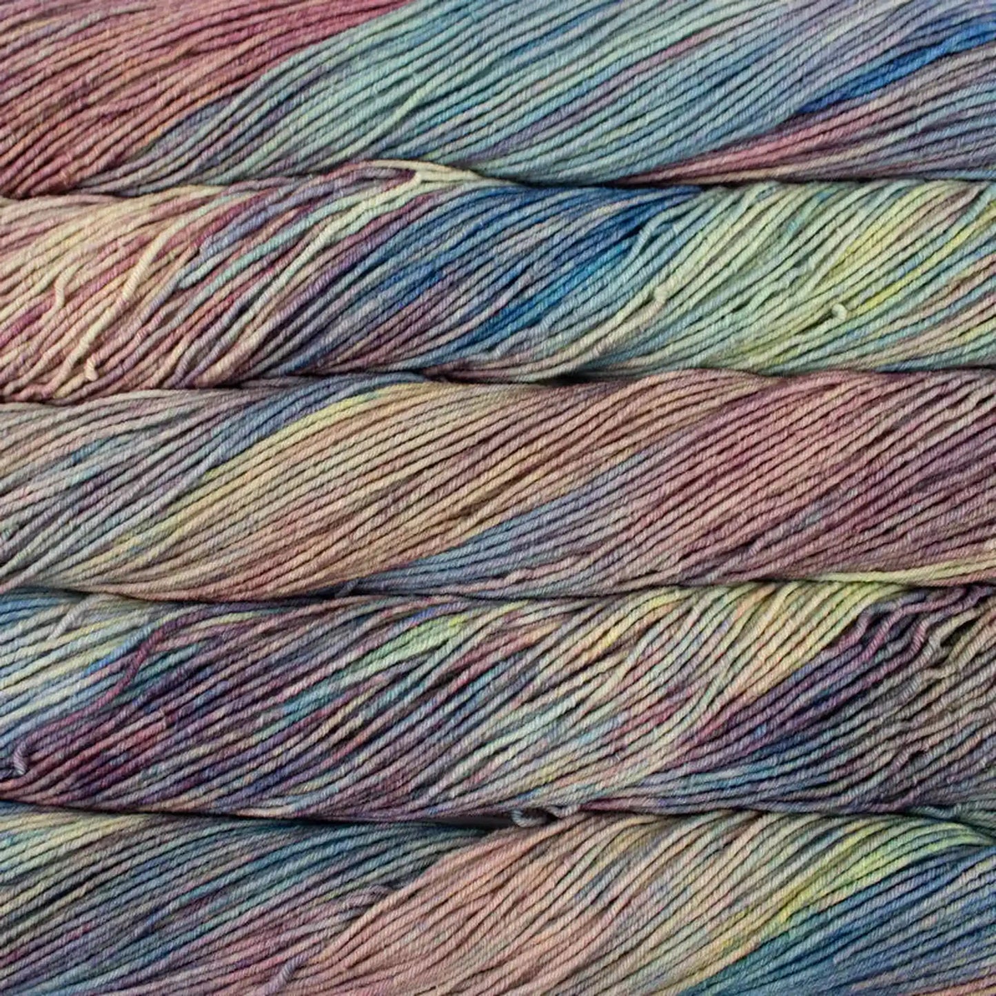 Malabrigo Seis Cabos DK Yarn color 875 Arapey