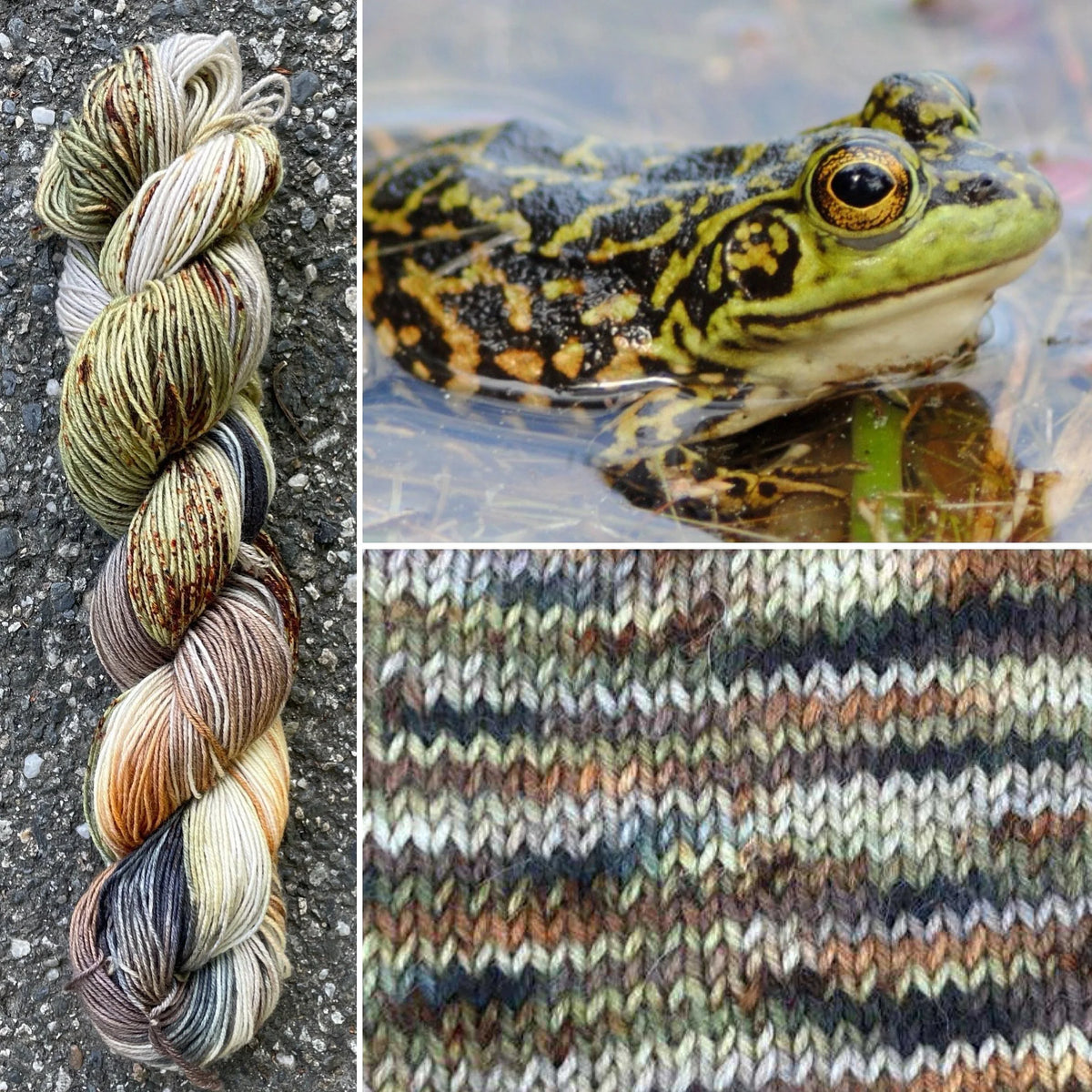 Mink Frog colorway skein, Round Mountain Fibers Alder Fingering yarn