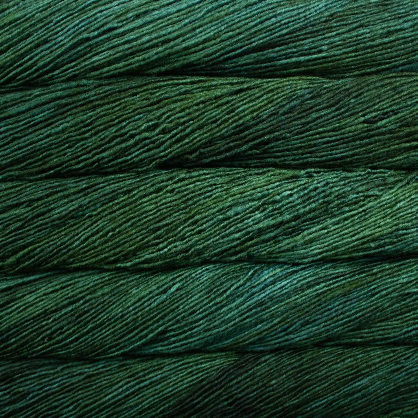 Malabrigo Worsted Yarn color 145 Forest