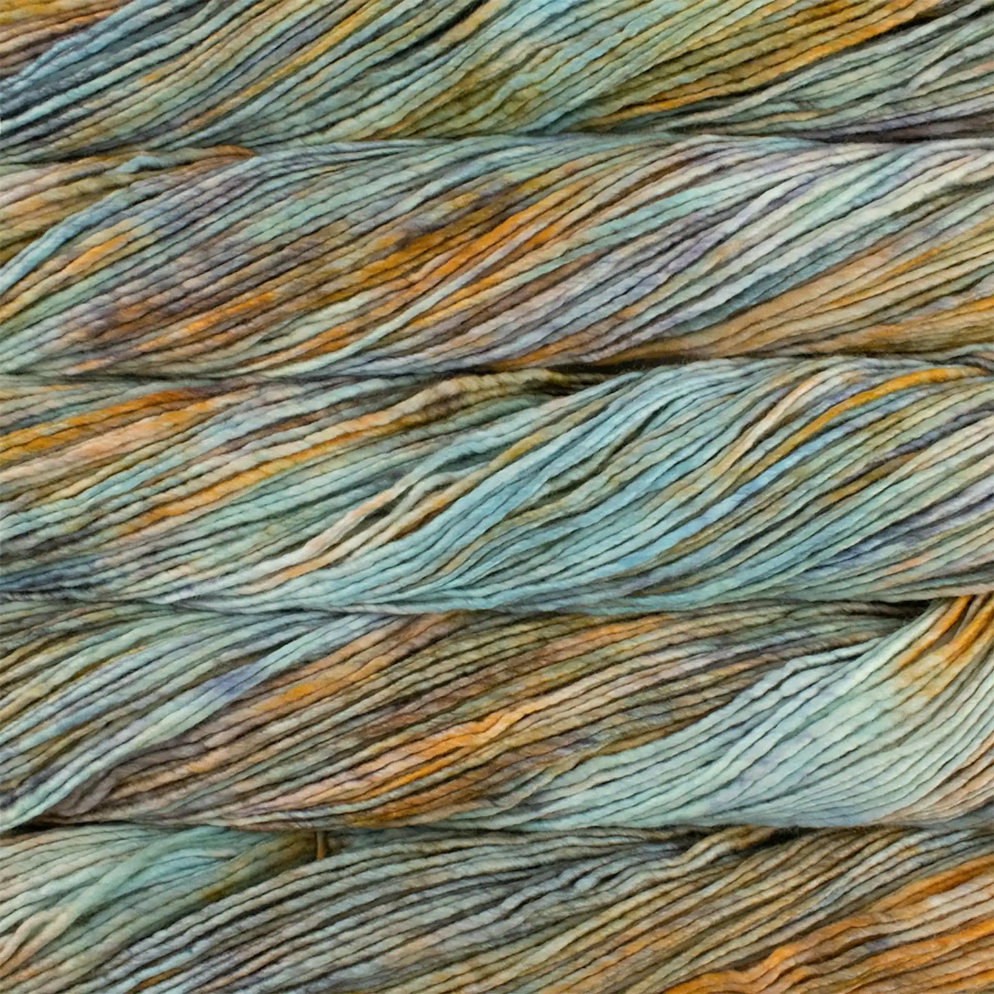 Malabrigo Worsted Yarn color 274 Amphibian
