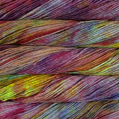 Malabrigo Worsted Yarn color 684 Cameleon