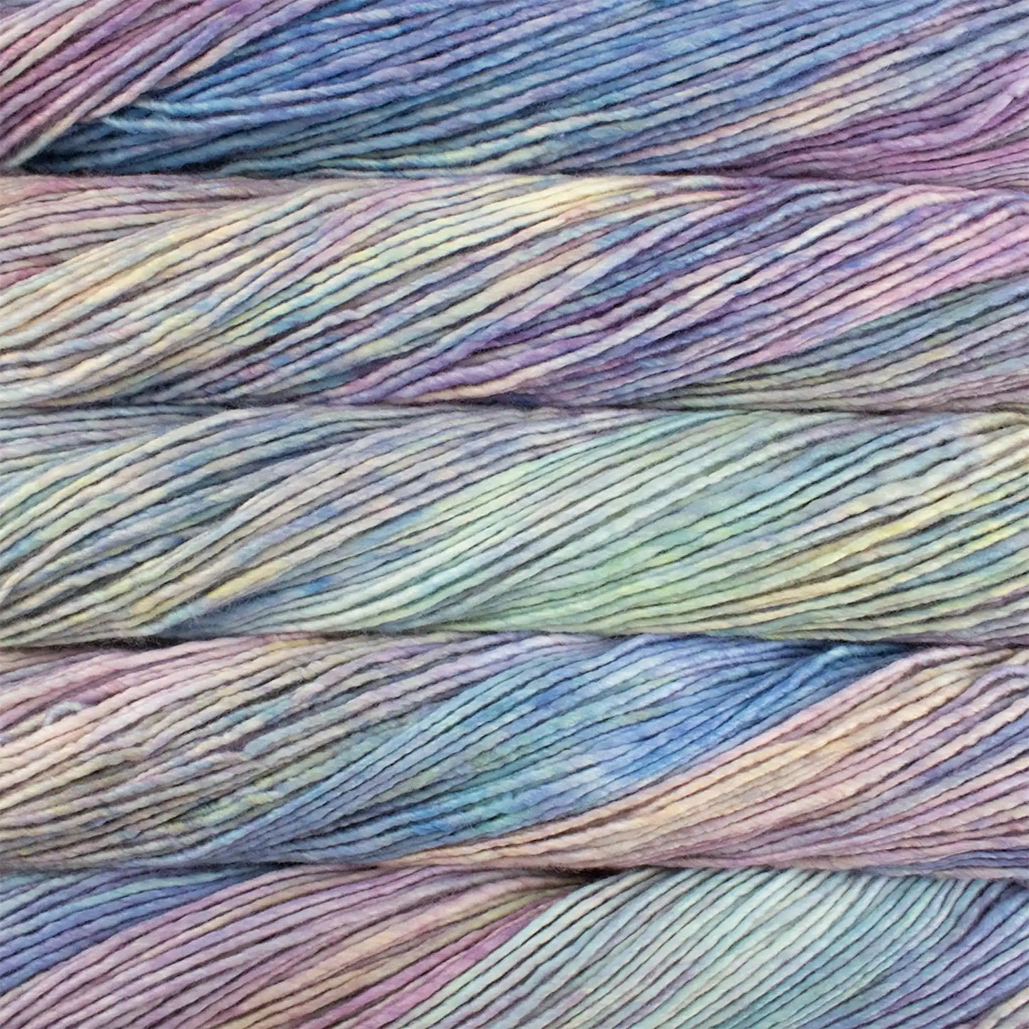 Malabrigo Worsted Yarn color 875 Arapey
