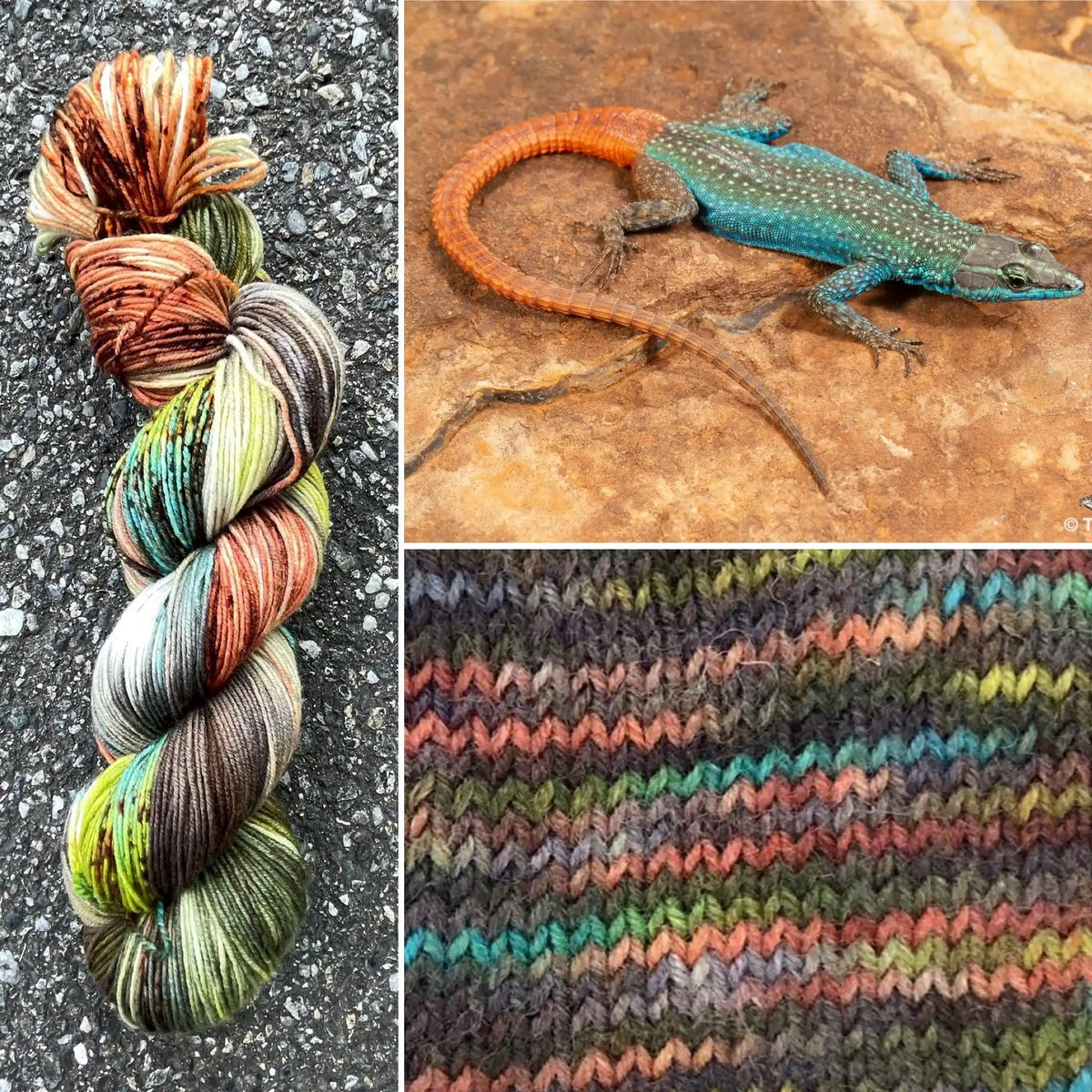 Natal Flat Lizard colorway skein, Round Mountain Fibers Alder Fingering yarn