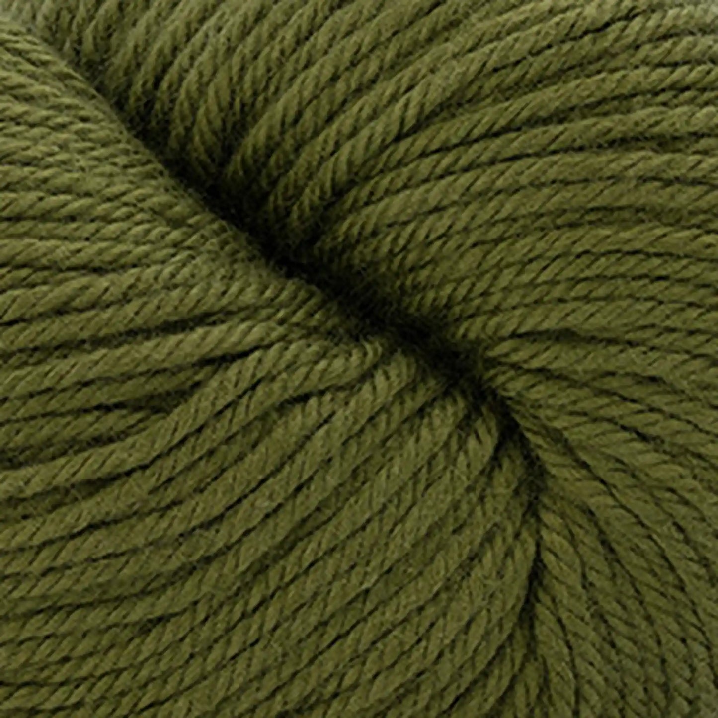 Cascade Nifty Cotton Worsted Yarn color 45 Cypress