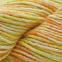 220 Citrus